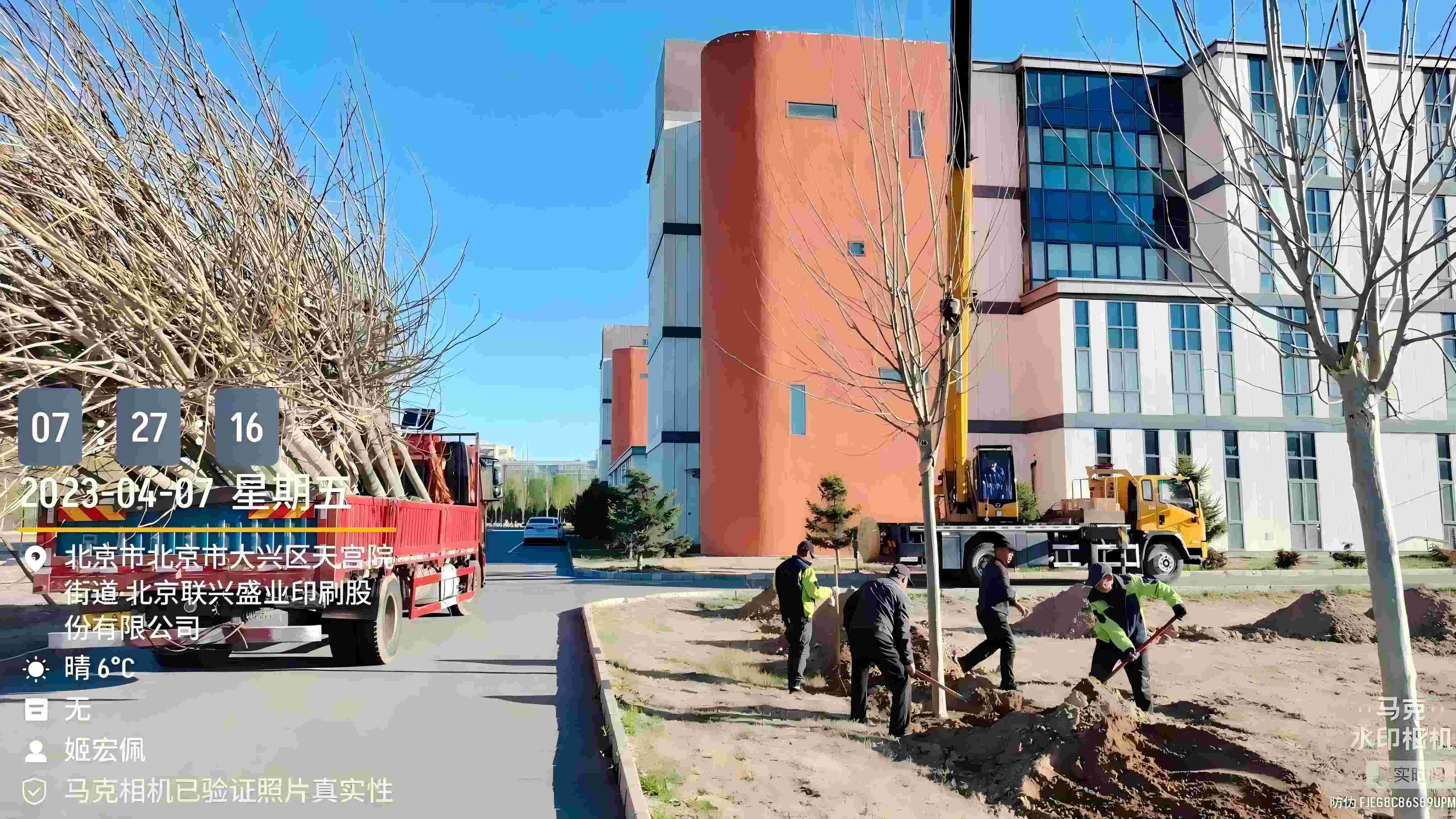 北京春季植樹最好的時間是什么時候？